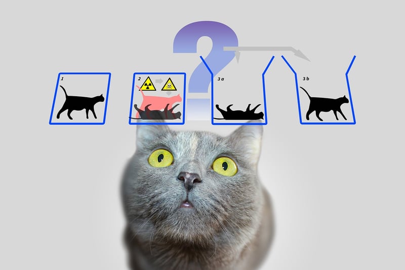Quantum Entanglement Devices